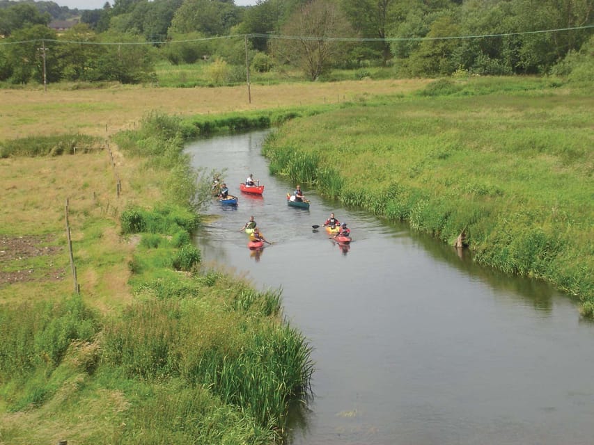 Norwich: Kayak down the Norfolk Broads - Wildlife along the quieter banks