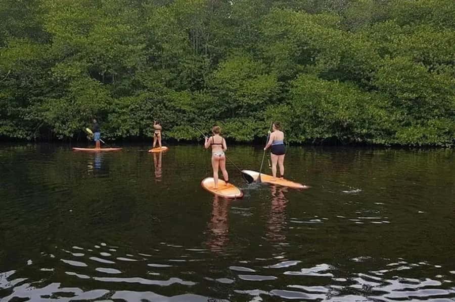 Nusa Penida: Snorkel 3 Spots w/ GoPro & Mangrove Paddle Tour - Practical ways to make the day better