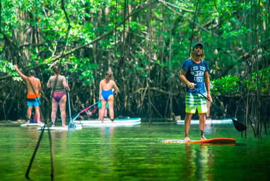 Nusa Penida: Snorkel 3 Spots w/ GoPro & Mangrove Paddle Tour - Should you book it?