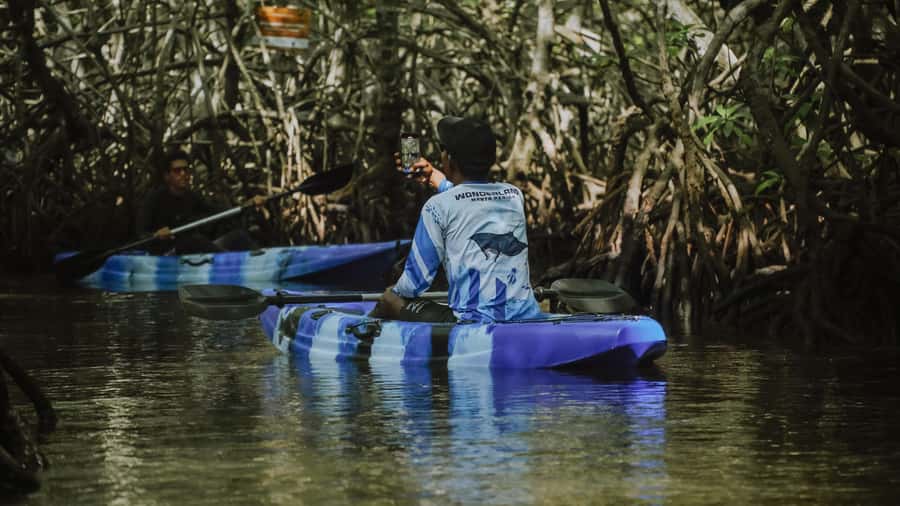 Nusa Penida: Snorkeling 3 Spots with GoPro & Kayak Mangroves - Mangrove Point: the calm second act