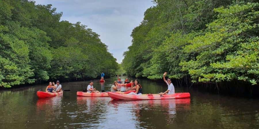 Nusa Penida: Snorkeling 3 Spots with GoPro & Kayak Mangroves - What the $16 price really includes