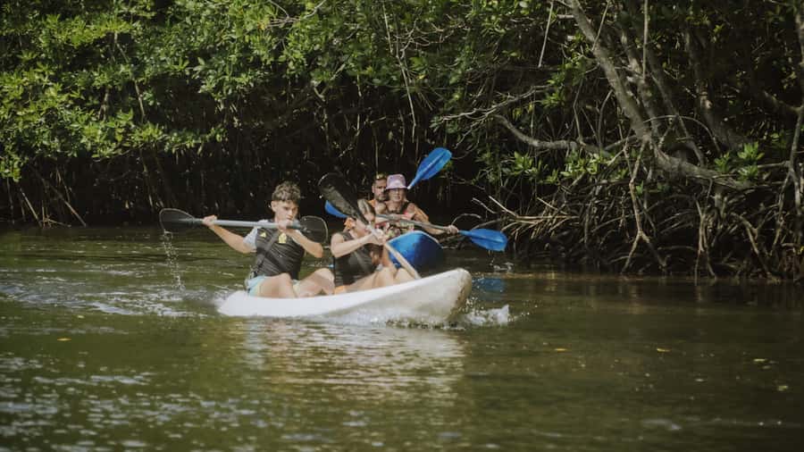 Nusa Penida: Snorkeling 3 Spots with GoPro & Kayak Mangroves - Safety, comfort, and who should skip it