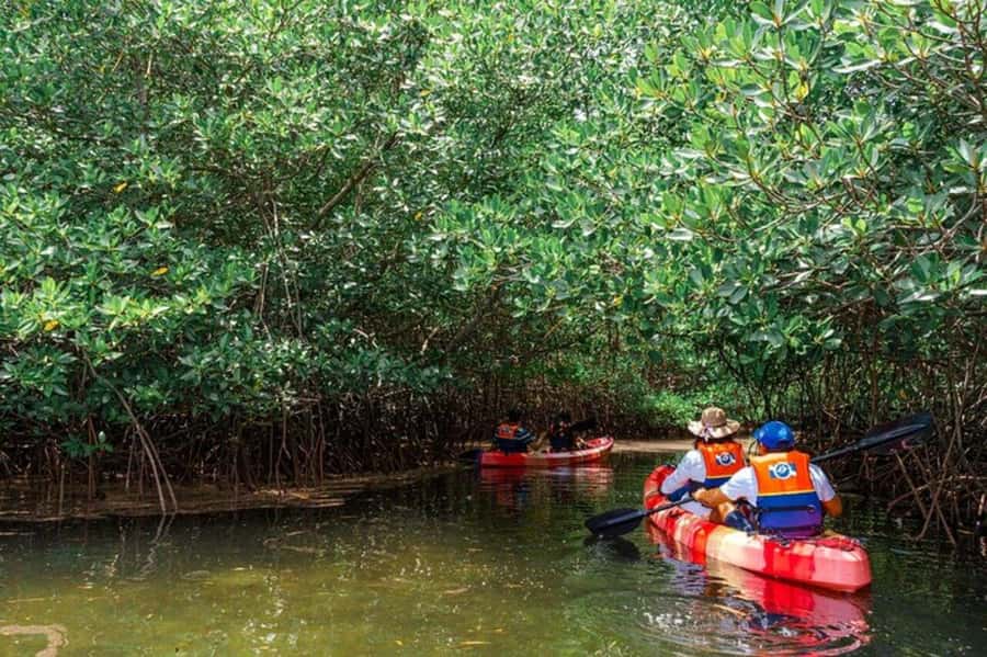 Nusa Penida: Snorkeling 3 Spots with GoPro & Kayak Mangroves - Booking flexibility and timing