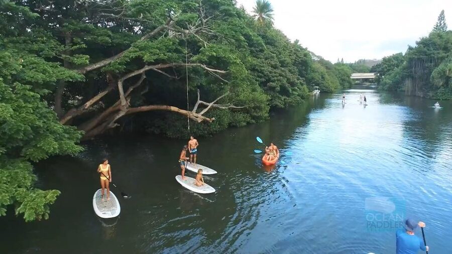 Oahu: North Shore Haleiwa Paddleboard River Adventure - What the $34 price really includes