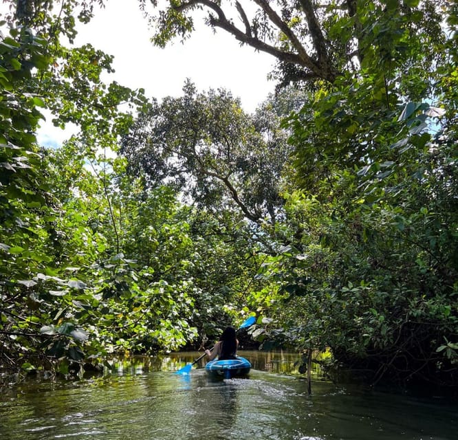 Oahu: Single & Double Kayak 3-Hour River Rental - Starting at the Kahana River property