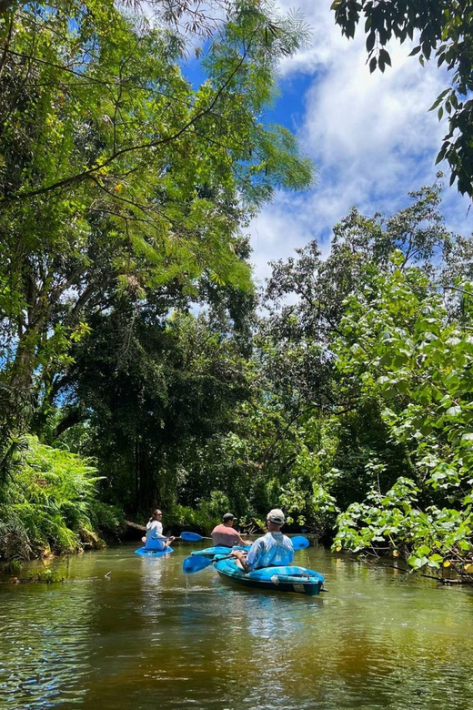 Oahu: Single & Double Kayak 3-Hour River Rental - Reaching Kahana Bay and the tropical sea