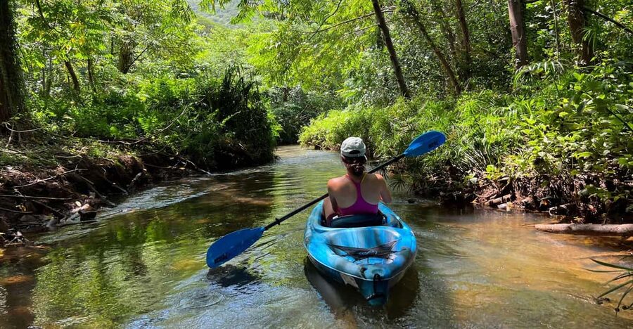 Oahu: Single & Double Kayak 3-Hour River Rental - Who will enjoy this Kahana outing most?