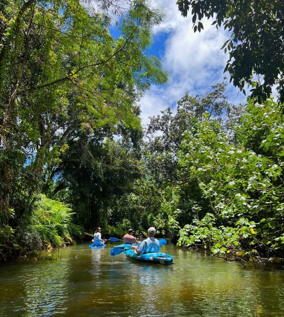Oahu: Single & Double Kayak 3-Hour River Rental - Paddling the calm Kahana River