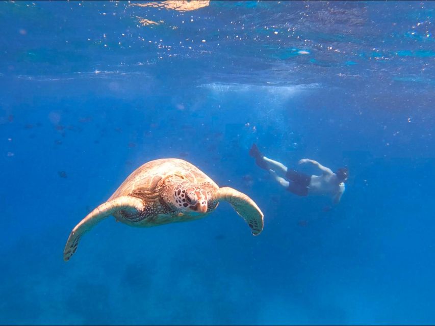 Oahu Snorkeling with Turtles, Water Scooter, Paddleboard - Should you book the Turtle Canyon tour?