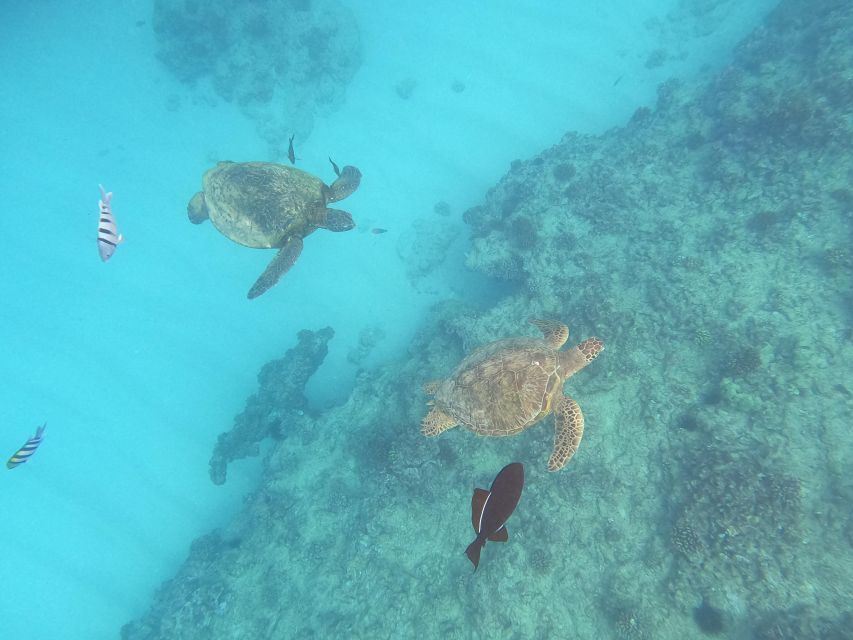Oahu Snorkeling with Turtles, Water Scooter, Paddleboard - Setting out from Waikiki by catamaran