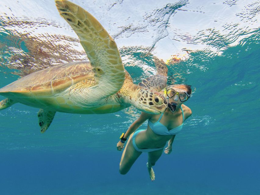 Oahu Snorkeling with Turtles, Water Scooter, Paddleboard - Musubi, noodles, and snacks after the swim