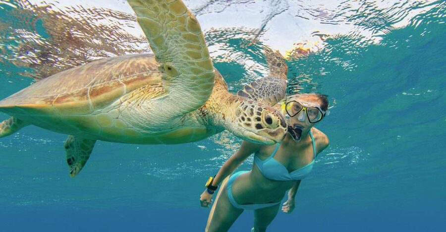 Oahu Snorkeling with Turtles, Water Scooter, Paddleboard - Photos, language help, and crew service