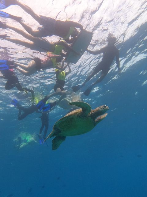 Oahu Snorkeling with Turtles, Water Scooter, Paddleboard - What $120 really buys you