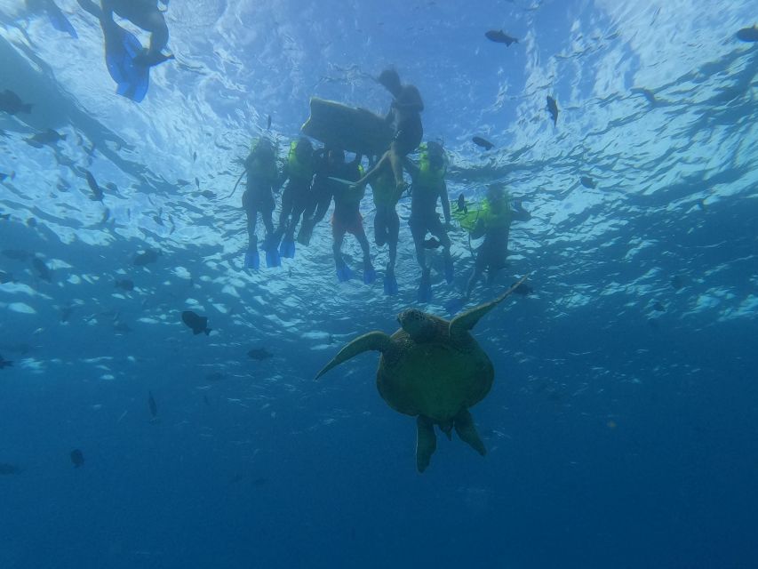 Oahu Snorkeling with Turtles, Water Scooter, Paddleboard - Meeting Hawaiian green sea turtles at Turtle Canyon