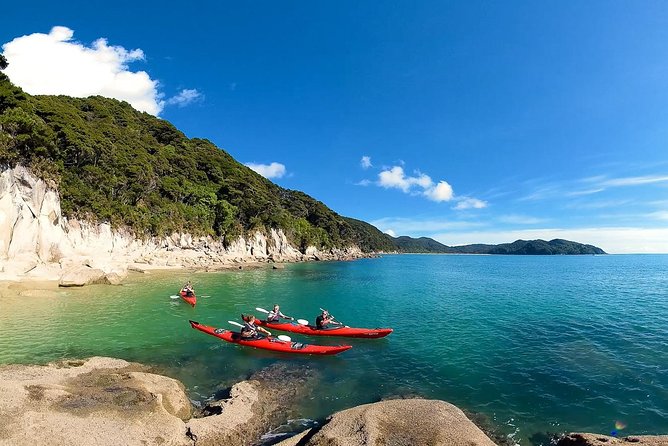 Oarsome Marine Reserve Kayak Tour - Key points to know before booking