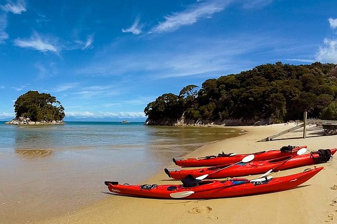 Oarsome Marine Reserve Kayak Tour - Is the $198.58 price good value?