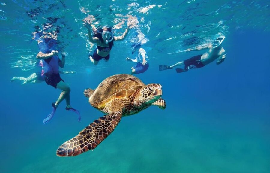 Ocean Reef Snorkeling and Paddleboarding - Starting at Dania Beach Pier