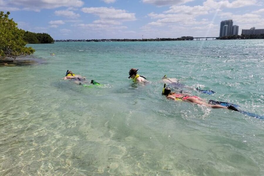Ocean Reef Snorkeling and Paddleboarding - Should you book the Dania Beach reef tour?