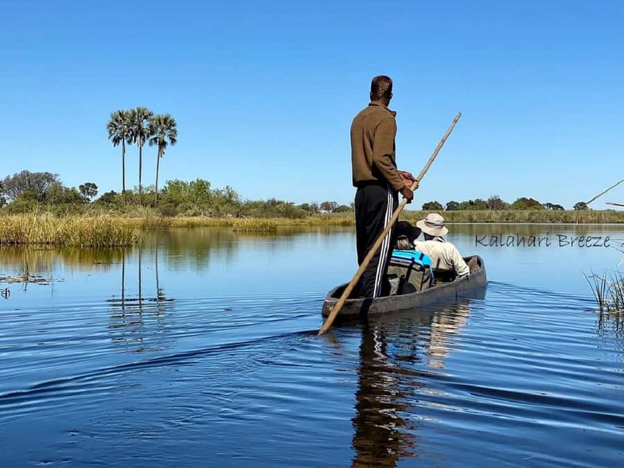 Okavango Delta: Full-Day Mokoro/Canoe Tour All-Inclusive - Entering the channels by traditional mokoro