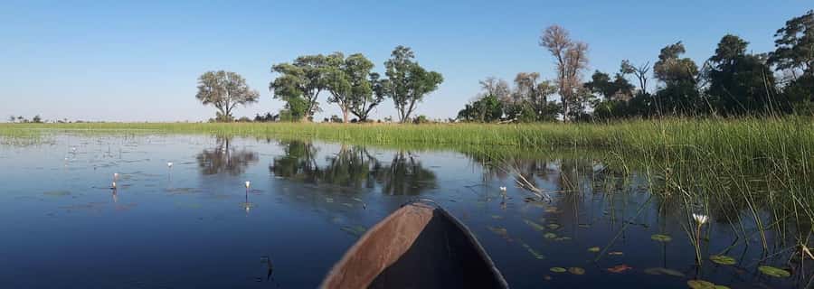 Okavango Delta: Full-Day Mokoro/Canoe Tour All-Inclusive - Who should book this Delta day?