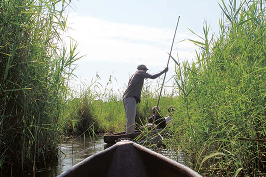 Okavango Delta: Mokoro Day Tour - Key points to know before booking