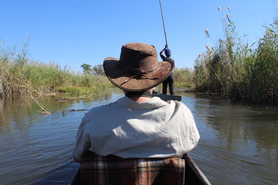 Okavango Delta: Mokoro Day Tour - Why a mokoro gives you a different Okavango experience
