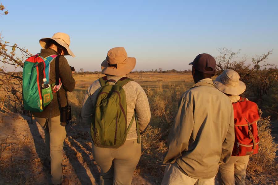 Okavango Delta: Mokoro Day Tour - Is $275 a fair price?