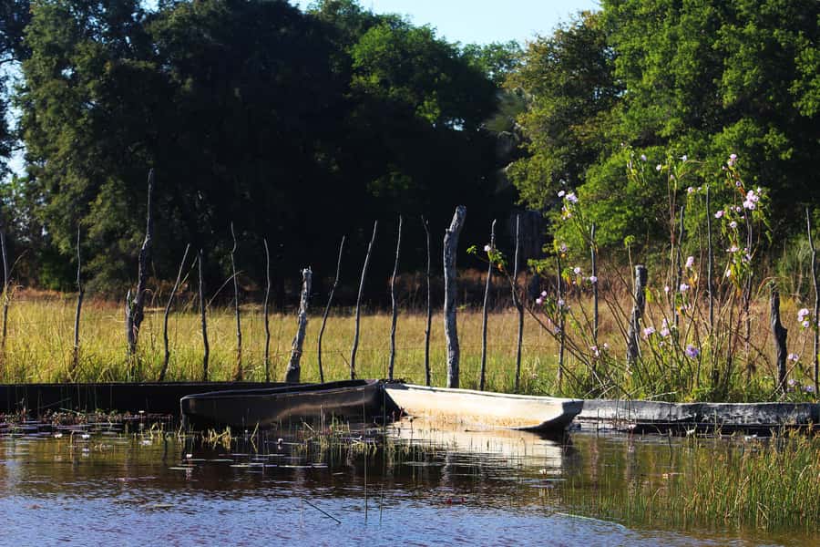 Okavango Delta: Mokoro Day Tour - From Maun to Audi Camp and Boro Mokoro Station