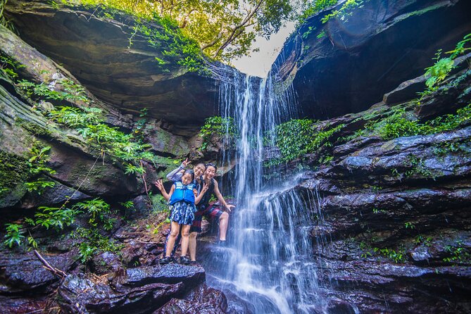 Okinawa Iriomote Mangrove SUP or Canoe Tour - Key points to know before booking