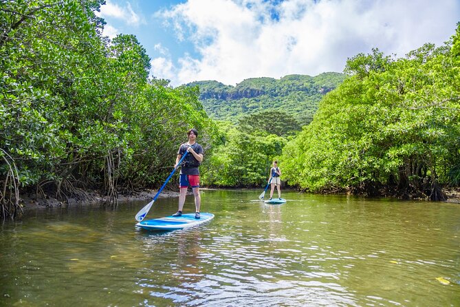Okinawa Iriomote Mangrove SUP or Canoe Tour - Free photographs are a practical bonus