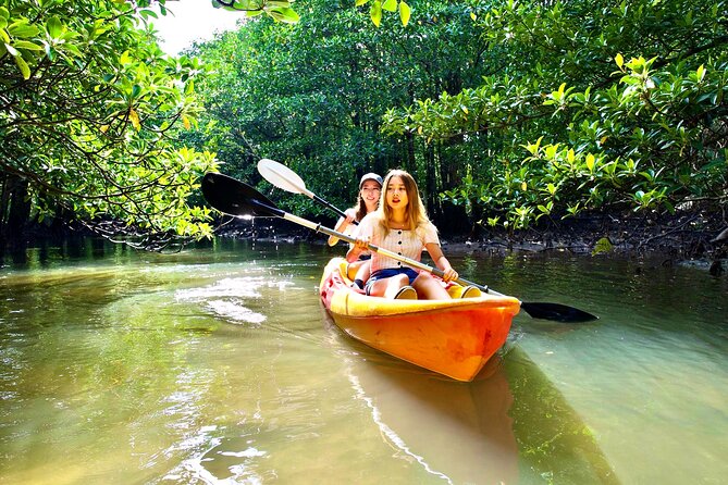 Okinawa Iriomote Mangrove SUP or Canoe Tour - What $52.40 buys you