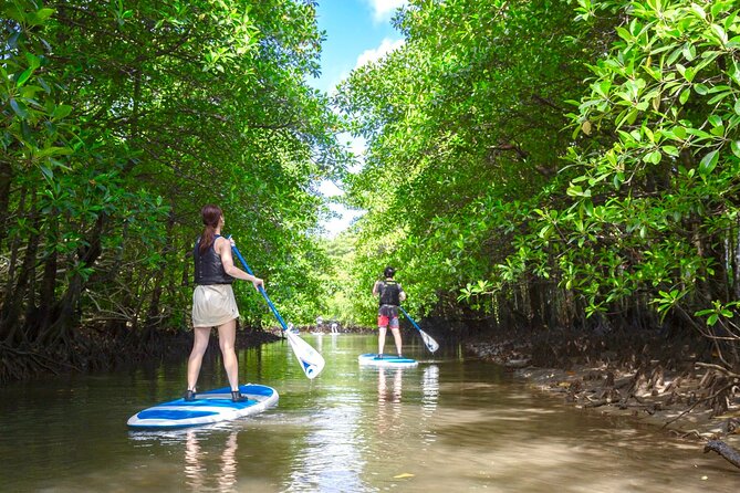 Okinawa Iriomote Mangrove SUP or Canoe Tour - Getting ready at Densa Terminal
