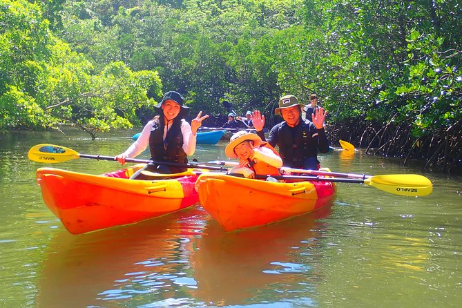 Okinawa Iriomote Mangrove SUP or Canoe Tour - Who should book this river tour?