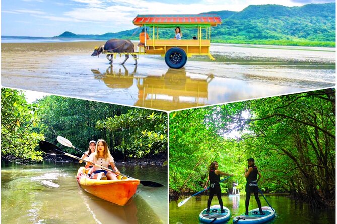 Okinawa Iriomote SUP or Canoe and Sightseeing in Yubujima Island - The essential details at a glance