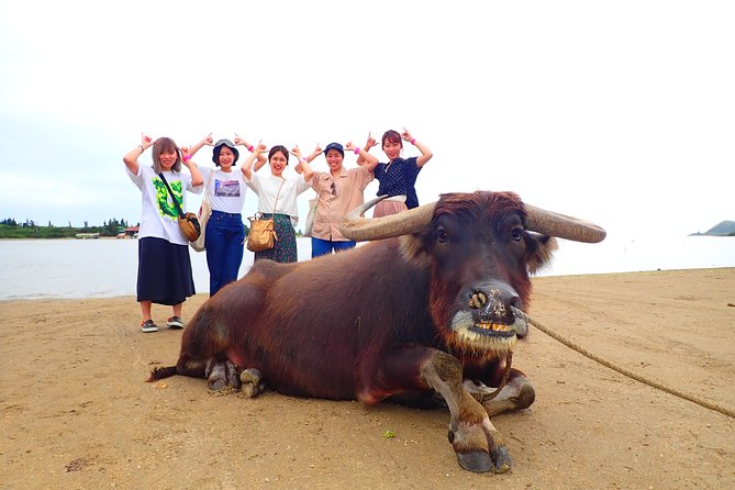 Okinawa Iriomote SUP or Canoe and Sightseeing in Yubujima Island - Yubu Island brings a change of pace