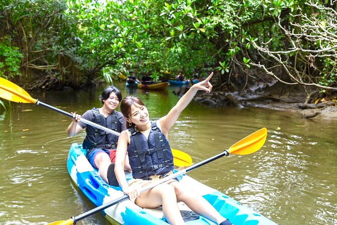 Okinawa Iriomote SUP or Canoe and Sightseeing in Yubujima Island - The real value of the $82.58 price