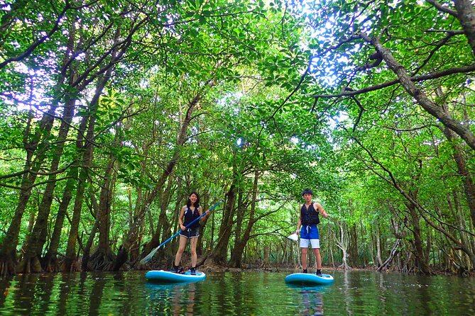 Okinawa Iriomote SUP or Canoe and Sightseeing in Yubujima Island - Timing matters if you are coming from Ishigaki