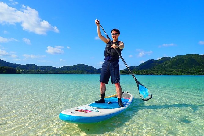 Okinawa Ishigaki Kabira Bay SUP or Canoe Tour - Marine life and the value of the setting