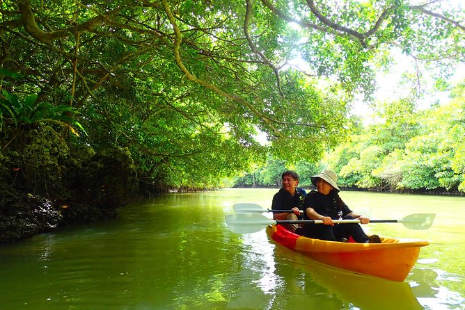 Okinawa Ishigaki Mangrove SUP or Canoe Tour - Why the Miyara River is a good place to paddle