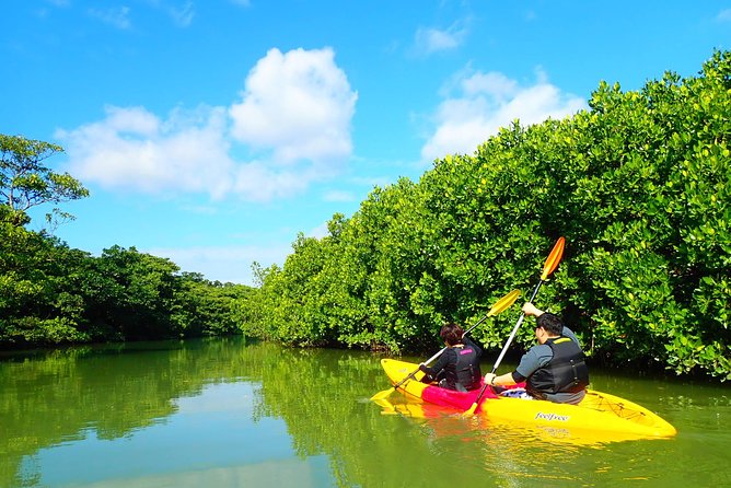 Okinawa Ishigaki Mangrove SUP or Canoe Tour - What happens along the Miyara River