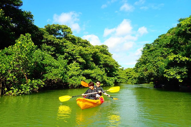 Okinawa Ishigaki Mangrove SUP or Canoe Tour - Guides, photos, and the human side