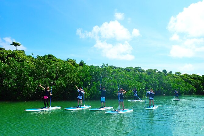 Okinawa Ishigaki Mangrove SUP or Canoe Tour - Equipment, clothing, and safety