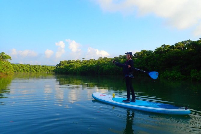 Okinawa Ishigaki Mangrove SUP or Canoe Tour - Hot showers near the port