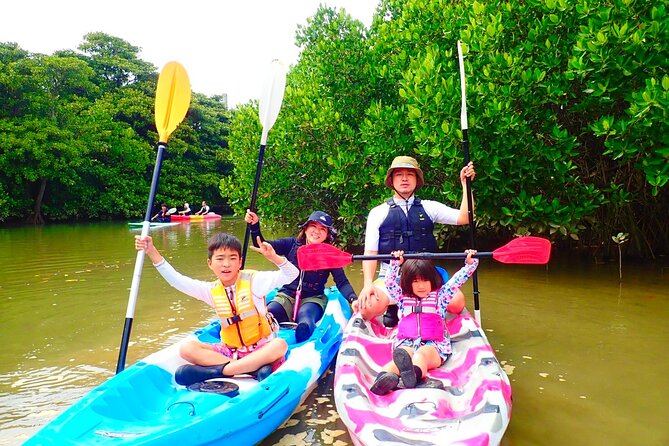 Okinawa Ishigaki Mangrove SUP or Canoe Tour - Choosing between SUP and canoe