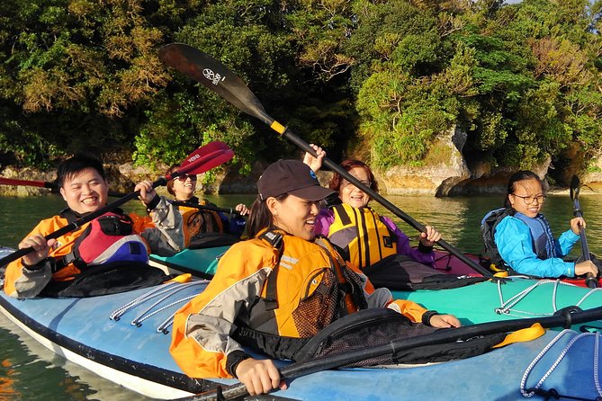 Okinawa: Kayak Mangroves & Ocean Native-English Private Tour - Why northern Okinawa works so well by kayak