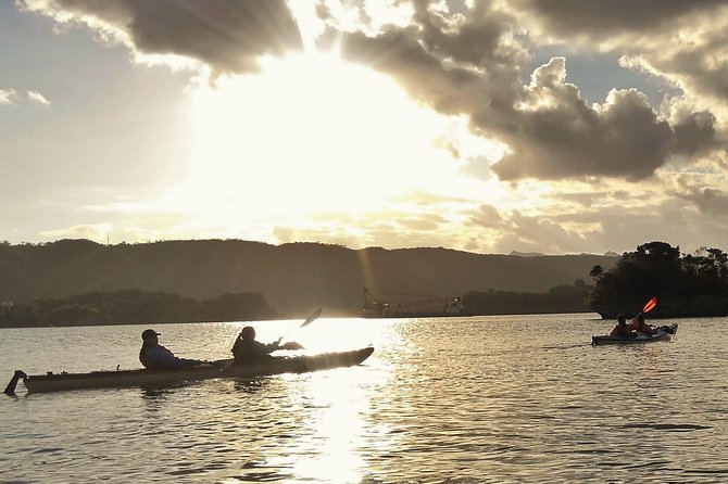 Okinawa: Kayak Mangroves & Ocean Native-English Private Tour - Mangrove channels and the quiet work of the tide
