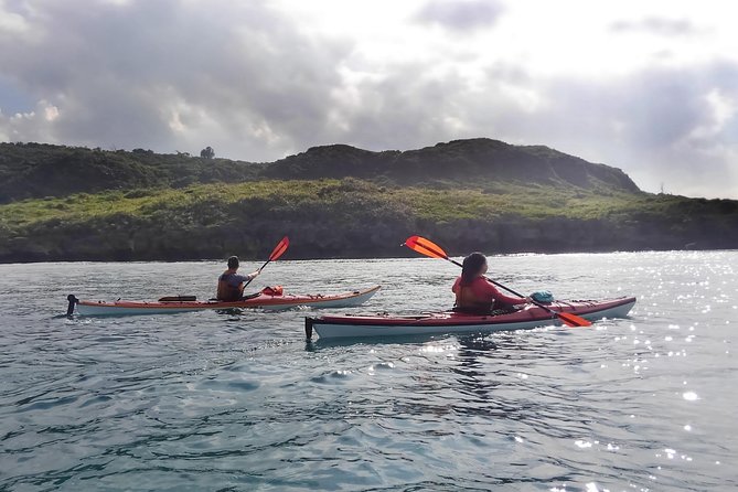 Okinawa: Kayak Mangroves & Ocean Native-English Private Tour - How much value you get for $94 per person