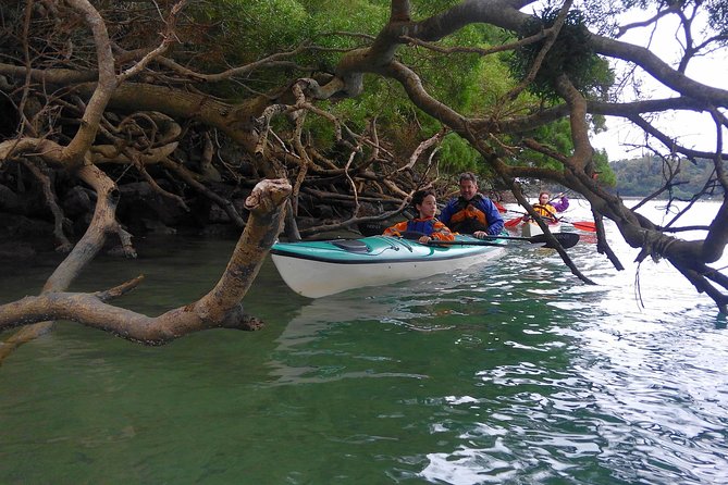 Okinawa: Kayak Mangroves & Ocean Native-English Private Tour - Who should book this experience