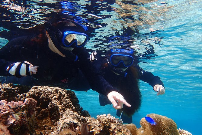 Okinawa Miyako 3set Beach SUP, Snorkeling,Pumpkin Cave,Canoeing - Inside Pumpkin Cave, expect a physical visit