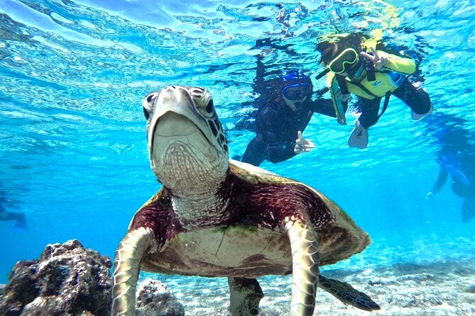 Okinawa Miyako Beach SUP or Canoe and sea turtle Snorkeling - Two Miyakojima water activities in one outing